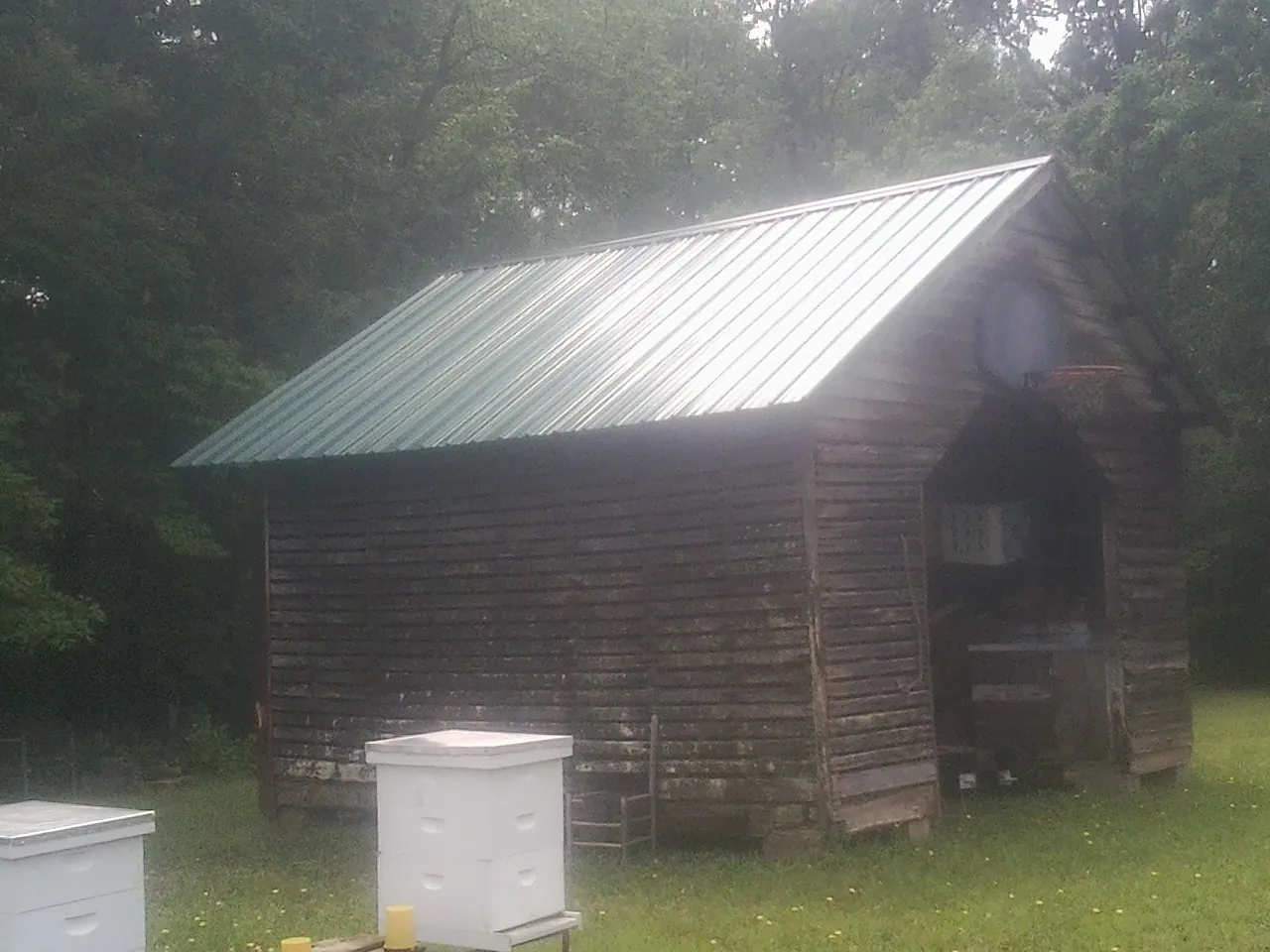 Green metal roof on a weathered barn beside stacked beehives in Columbia Falls