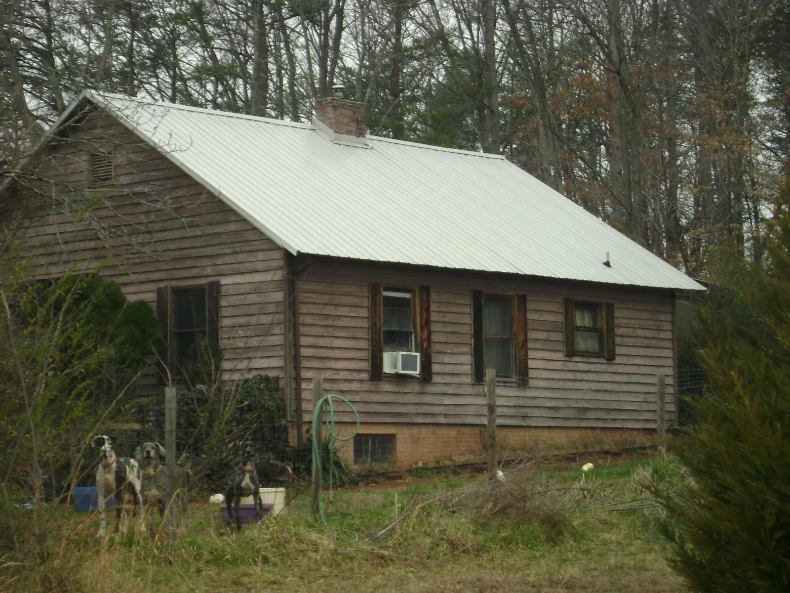 White metal roof on an old wood sided farmhouse, from a Metal Roof Installation job in Columbia Falls